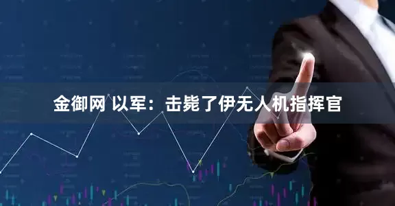 金御网 以军：击毙了伊无人机指挥官