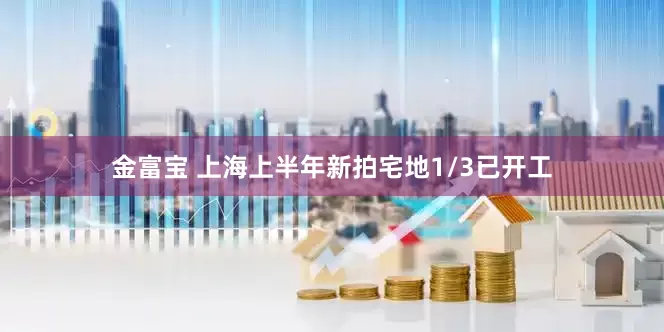 金富宝 上海上半年新拍宅地1/3已开工