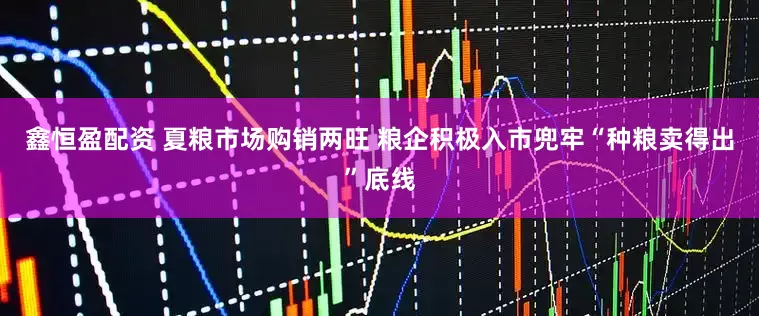 鑫恒盈配资 夏粮市场购销两旺 粮企积极入市兜牢“种粮卖得出”底线
