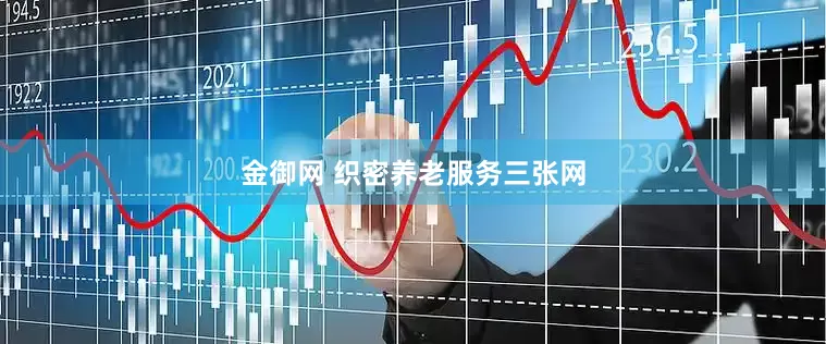 金御网 织密养老服务三张网