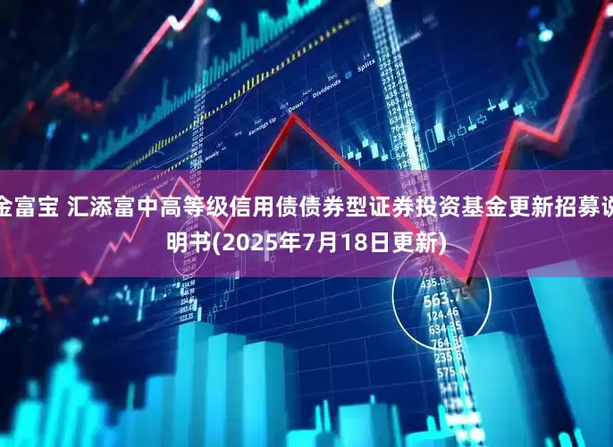 金富宝 汇添富中高等级信用债债券型证券投资基金更新招募说明书(2025年7月18日更新)