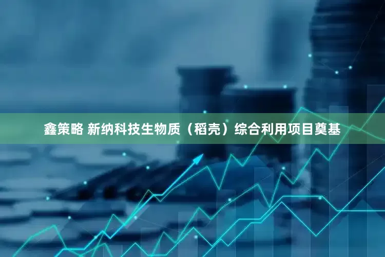 鑫策略 新纳科技生物质（稻壳）综合利用项目奠基